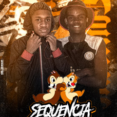 SEQUENCIA DO TICO E TECO - DJ BR DO MDM E DJ VITINHO SUCESSADA ( STUDIO RG2 RECORDS )