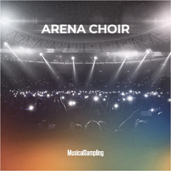 Arena Party (AC Only) - Saul Guanipa