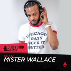 Dirtybird Radio 447 - Mister Wallace