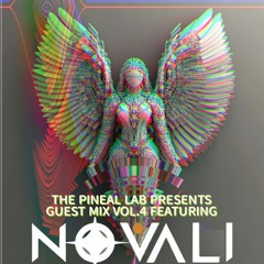 Novali Guest Mix Vol.4