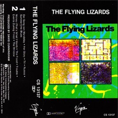 The Flying Lizards - TV ..  Jamie Mango Twin .. Remix -- Video Link - In Description