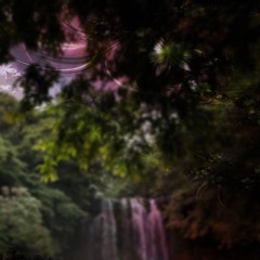 never love (prod. bbmevis + bmud)