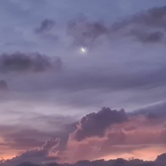 Bayside 004 [LIVE DJ SET]