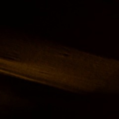 Filtered Reality (a garden in London on the 29th June, 2020)