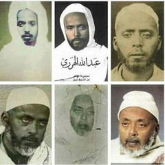 حول عند الهرري