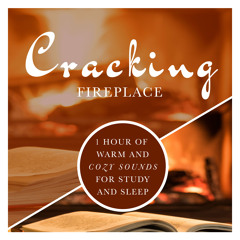 Cracking Fireplace: 1 Hour of Warm and Cozy Sounds for Study and Sleep