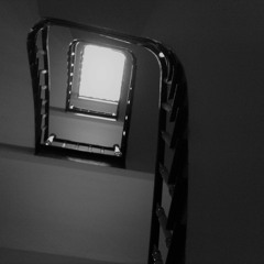 Es Muss Raus Feat. Rixxon #2017