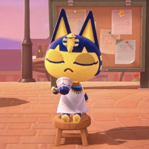 Фулл египетская кошка