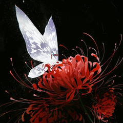 曼珠沙华 Red Flower Lily
