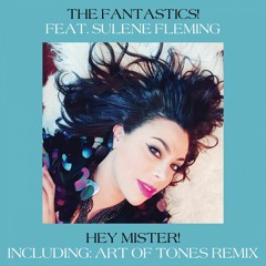The Fantastics!  - Hey Mister! (Art Of Tones Extended Remix)