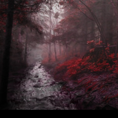 Tiger Mountain Peasant Song (Fleet Foxes Cover)