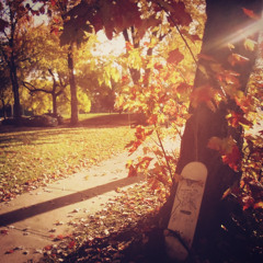 fa$hion shit (prod @dmtplugg99)[videoclip available]