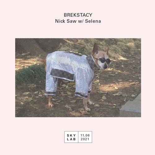 Skylab Radio - Brekstacy