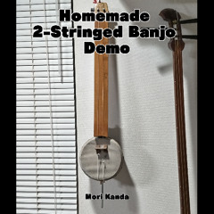 Homemade 2-Stringed Banjo Demo