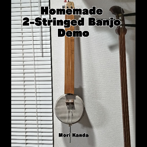 Homemade 2-Stringed Banjo Demo