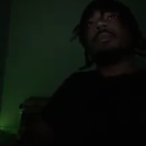 zaya ysl snippet