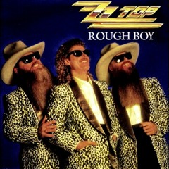 ZZ Top - Rough Boy (full band cover)
