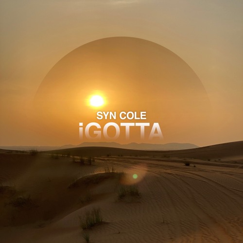 Syn Cole - iGotta