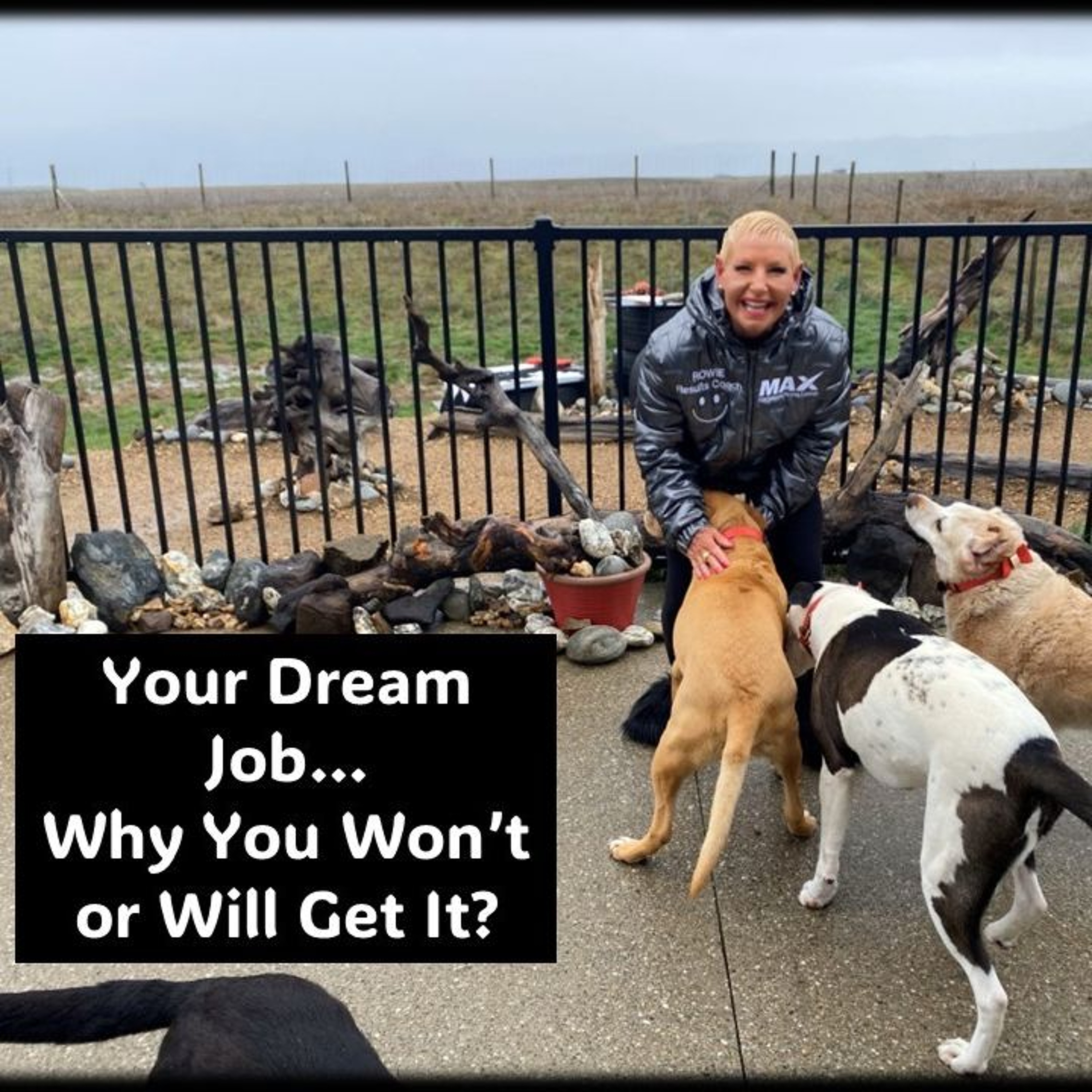 Your Dream Job…Why you might not get it...with Rowie McEvoy