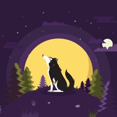 Let Sleeping Dogs Lie (Acoustic Mix)