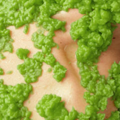 FRÜNDSCHAFT MASTER V3