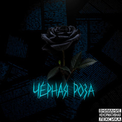 Чёрная Роза