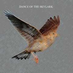 DANCE OF THE SKYLARK
