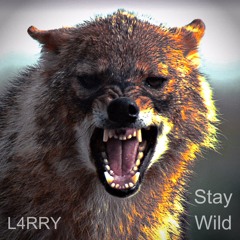 L4RRY - Stay Wild