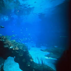 Ocean Monument