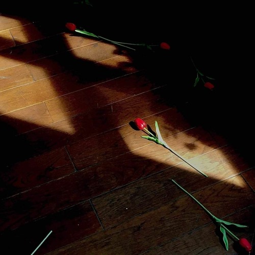 Rose are red Wavy & XOLITXO & willistic ( fanreup)