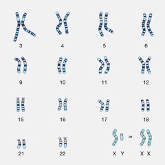 XY(feat.환서)(prod.thisisgunn)