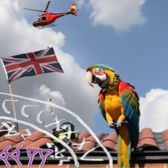 Foul-Mouthed Parrot