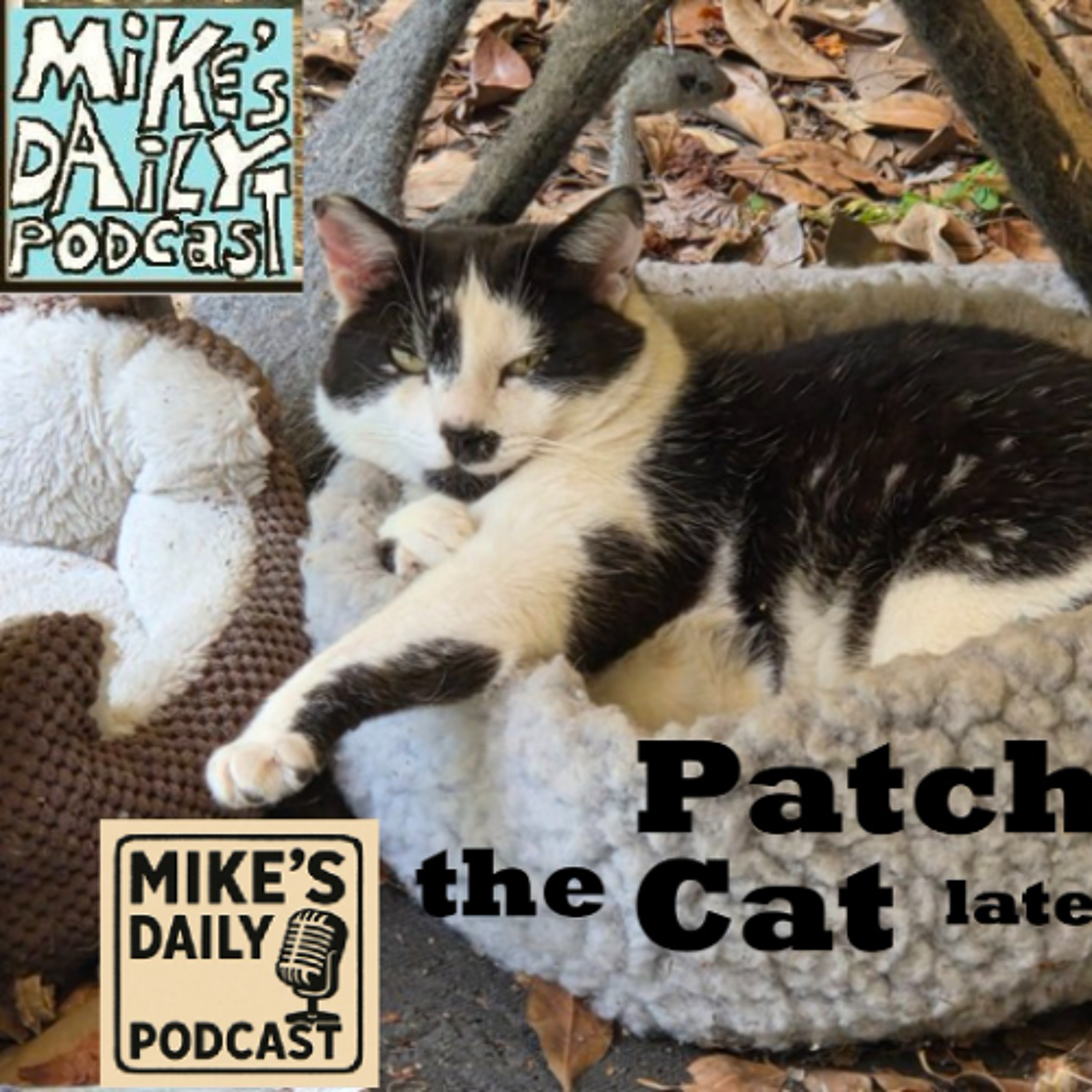 MikesDailyPodcast 3296 Connections episode artwork