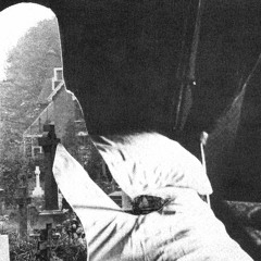 DEATH SWIMS ON THE WATER