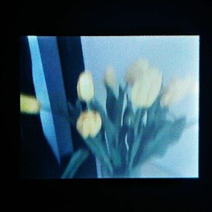 Molecules And Atoms(My Beautiful Dream)