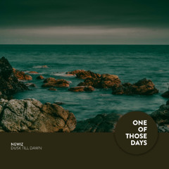 NewiZ - Dusk Till Dawn (Radio Edit) [One Of Those Days]