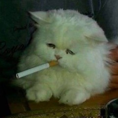 как мне