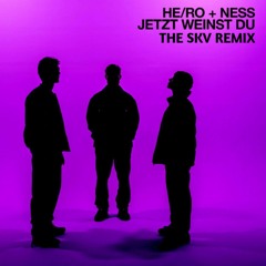 HE/RO x NESS - JETZT WEINST DU (The SKV Remix).mp3