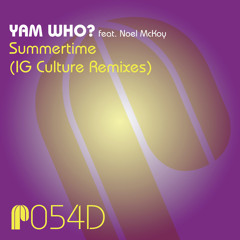 Summertime (NSM Summertime '09 Instrumental Mix) [feat. Leroy Burgess, New Sector Movement & Noel McKoy]
