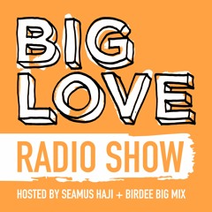 Big Love Radio Show – June 2023 – Birdee Big Mix