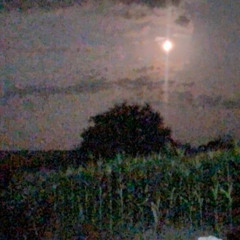 E̺̭̠̜͆̈͋̈́̈́ͯ̾͊ͅͅt͓̙͔͊à̜̫͍̣͖̑̉ͧ̿ n͎̦̜̻͈̥͍̦̩̱͊͒̀o̘͇̩̞̯͍̱ͯ̋ͭ͂c̟͕ͩh̟̪̲̦͚̙ͮe͕̬̔͛͌ w/xkiruu, jako696