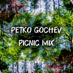 Petko Gochev-Picnic Mix
