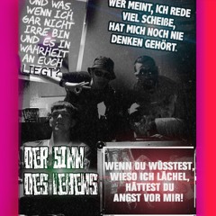 Der Sinn des Lebens