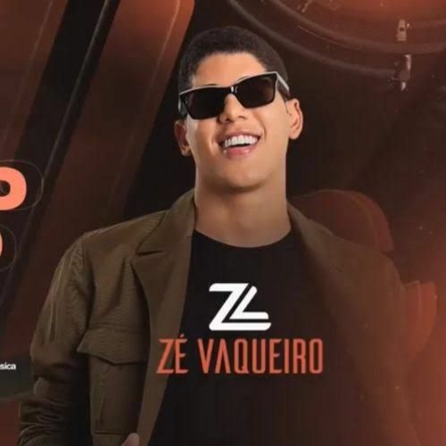 TENHO MEDO DE ALGUÉM ME MACHUCAR, EU TENHO MEDO DE ME ENTREGAR - ZÉ VAQUEIRO VS FUNK [ @MIXMT ] 2K21