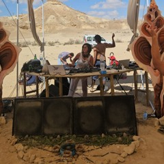 Desert vibes Live @ Re-Rise (2024) [Progressive Psytrance]