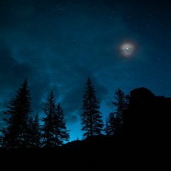 "Osama" | Trippie Redd, Lil Pump x Smokepurpp Type Beat