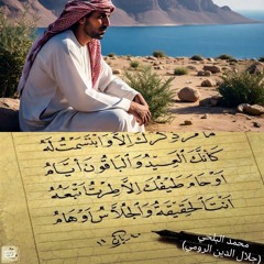 مجاراة ما مر ذكرك إلا وابتسمت له.m4a