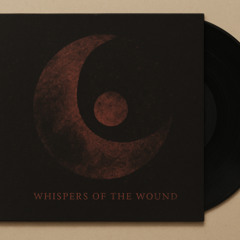 Barchi  whisper of the wound (originalMix Sketch)