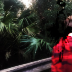 marathon (+dreamland)