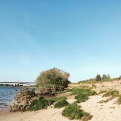 Goodnight Transmission Remake